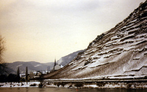 Weinlage Valwiger Herrenberg im Winter